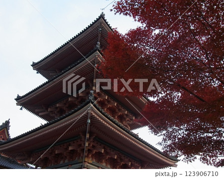 秋の古都・京の都・京都 123906710
