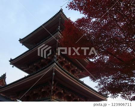 秋の古都・京の都・京都 123906711