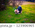 正月の散歩 123906965