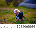 佇むトイプードル 123906966