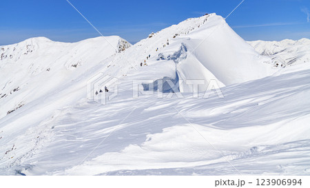 厳冬の谷川岳稜線・オキノ耳 123906994