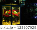 枯れない薔薇 123907029
