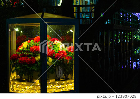 枯れない薔薇 枯れない薔薇 123907029