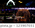かぼちゃの馬車 123907031