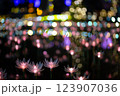 イルミネーション花 123907036