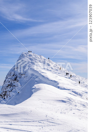 快晴の空と谷川岳の雪景色(ぐんま県境稜線トレイル) 快晴の空と谷川岳の雪景色(ぐんま県境稜線トレイル) 123907039