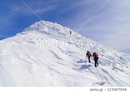 快晴の空と谷川岳の雪景色（ぐんま県境稜線トレイル） 123907040