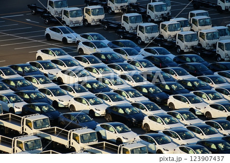 輸出・輸入を待つ自動車（テスラ、電気自動車） 123907437