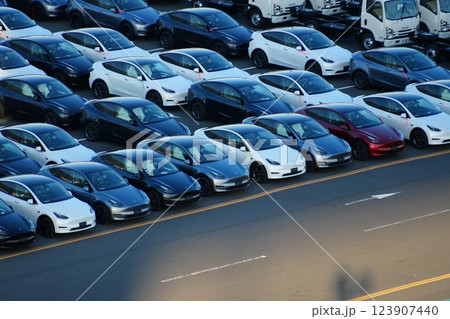 輸出・輸入を待つ自動車（テスラ、電気自動車） 123907440