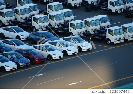 輸出・輸入を待つ自動車(テスラ、電気自動車) 輸出・輸入を待つ自動車(テスラ、電気自動車) 123907442