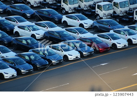 輸出・輸入を待つ自動車(テスラ、電気自動車) 輸出・輸入を待つ自動車(テスラ、電気自動車) 123907443