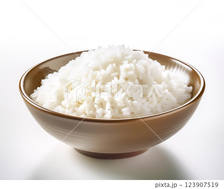 ご飯　白米のイメージ素材 123907519