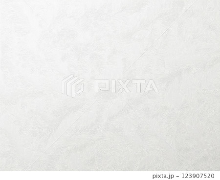 和紙のテクスチャのイメージ素材　白色 123907520