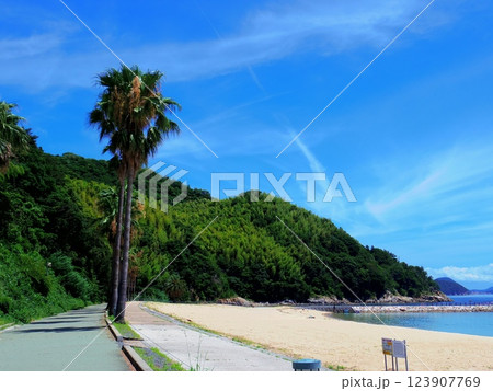 片添ヶ浜海浜公園(山口県周防大島町) 片添ヶ浜海浜公園(山口県周防大島町) 123907769