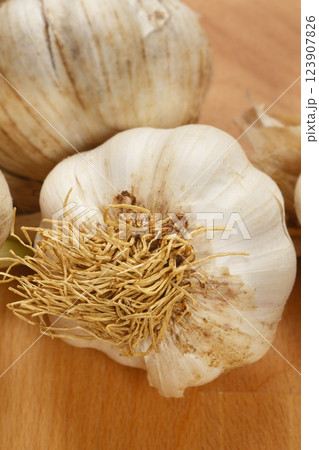 Head of garlic 123907826