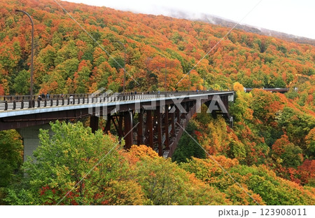 【青森県】錦秋の城ケ倉大橋 123908011