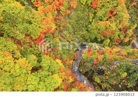 【青森県】錦秋の城ヶ倉渓流 123908013
