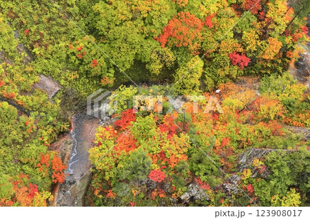 【青森県】錦秋の城ヶ倉渓流 123908017