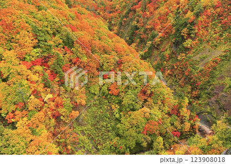 【青森県】錦秋の城ヶ倉渓流 123908018