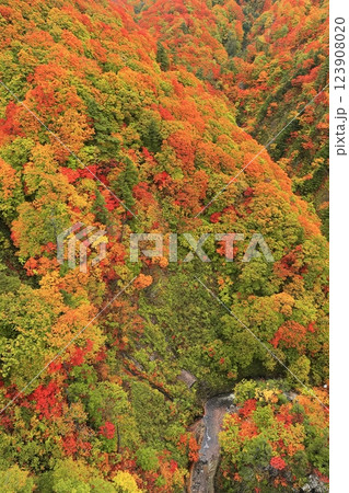 【青森県】錦秋の城ヶ倉渓流 【青森県】錦秋の城ヶ倉渓流 123908020