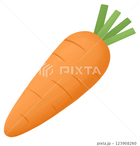 Carrot vegetable food illustration 123908260