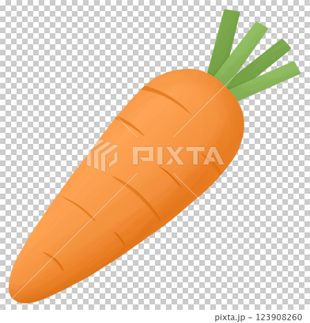 Carrot vegetable food illustration 123908260