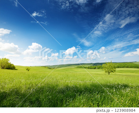 5月の青空 123908984