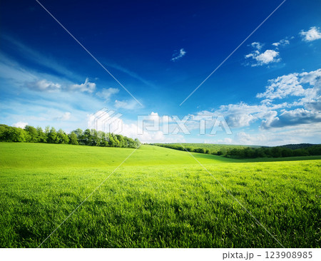 5月の青空 5月の青空 123908985