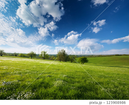 5月の青空 5月の青空 123908986