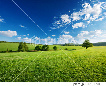 5月の青空 123909012