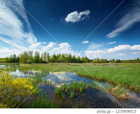 5月の青空 5月の青空 123909013