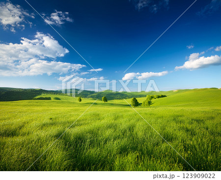 5月の青空 5月の青空 123909022