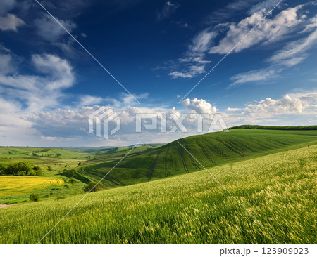 5月の青空 123909023