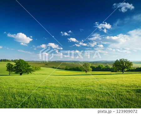 5月の青空 5月の青空 123909072
