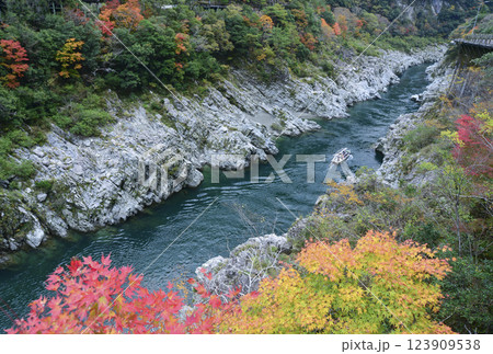 大歩危峡沿いの鮮やかな紅葉と観光遊覧船 123909538
