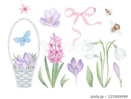 Spring flowers set with wicker basket, pink ribbon and garden insects. Hand drawn collection of crocuses, snowdrops, hyacinth and green leaves isolated on white. Floral clipart for postcard design and 123909996