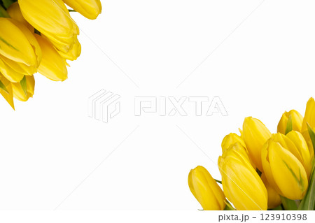 Minimalistic card with yellow tulips on white background. Minimalistic card with yellow tulips on white background. 123910398