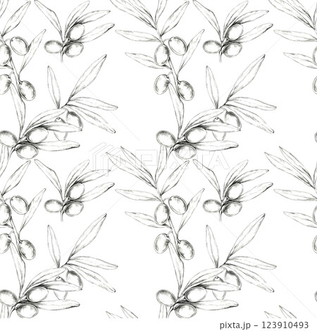 Olives, leaves and branches sketched in pencil. Seamless pattern hand drawn illustration. This clipart is ideal for textiles, home decor, or packaging designs, with detailed natural botanical motif 123910493