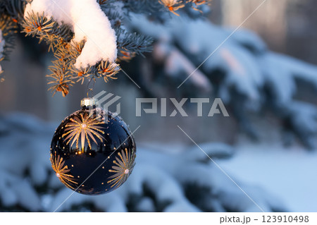 Navy blue Christmas decoration is on the snowy branch in sunset. 123910498