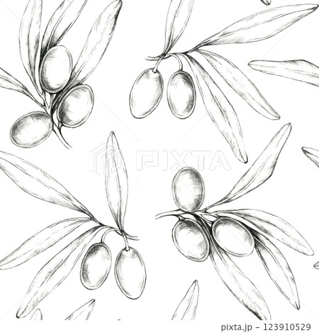 Olives and branches, drawn in pencil. Seamless pattern, botanical illustration perfect for fabric design, packaging, wallpaper, or home decor, offering a clean design for various merchandise Olives and branches, drawn in pencil. Seamless pattern, botanical illustration perfect for fabric design, packaging, wallpaper, or home decor, offering a clean design for various merchandise 123910529
