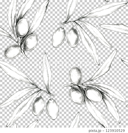 Olives and branches, drawn in pencil. Seamless pattern, botanical illustration perfect for fabric design, packaging, wallpaper, or home decor, offering a clean design for various merchandise Olives and branches, drawn in pencil. Seamless pattern, botanical illustration perfect for fabric design, packaging, wallpaper, or home decor, offering a clean design for various merchandise 123910529