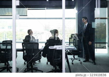 Professionals engage in a discussion during a business meeting in a sleek office environment. Natural light streams through large windows, illuminating their focused expressions. Professionals engage in a discussion during a business meeting in a sleek office environment. Natural light streams through large windows, illuminating their focused expressions. 123910636