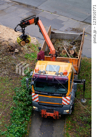 Specialized Removal Truck Clearing Fallen Tree Debris 123910771