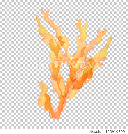 Yellow-orange watercolor coral clipart with intricate branching. Gold, fire coral ideal for coral reef scenes, hand drawn isolated sea life illustration enhances underwater designs, packaging 123910809