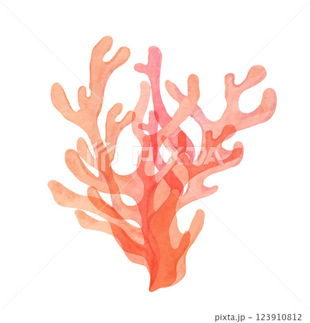 Light red watercolor coral clipart with delicate branching. A perfect addition to sea life themes, this sea life isolated fire coral illustration brings color and detail to aquatic compositions 123910812
