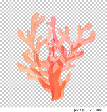 Light red watercolor coral clipart with delicate branching. A perfect addition to sea life themes, this sea life isolated fire coral illustration brings color and detail to aquatic compositions 123910812