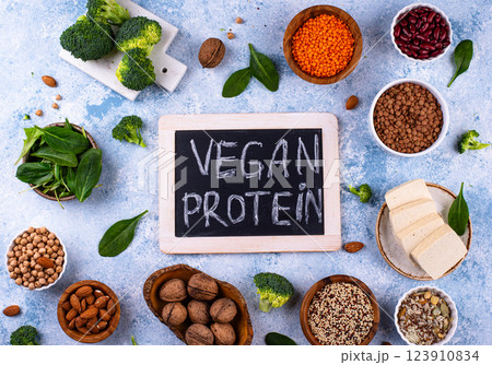 Asortment of plant based vegan protein products 123910834