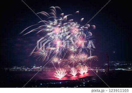花火 キラキラ輝くもの 線香花火 123911103