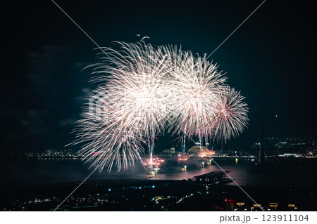 花火 キラキラ輝くもの 線香花火 123911104