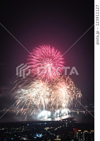 花火 キラキラ輝くもの 線香花火 123911127